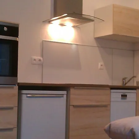 Sunny, Fully Furnished Studio Type With Terrace Plzen Exterior photo