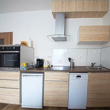 Sunny, Fully Furnished Studio Type With Terrace Plzen Exterior photo