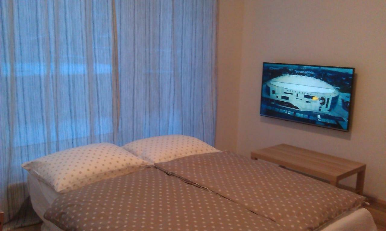 Sunny, Fully Furnished Type With Terrace Plzen